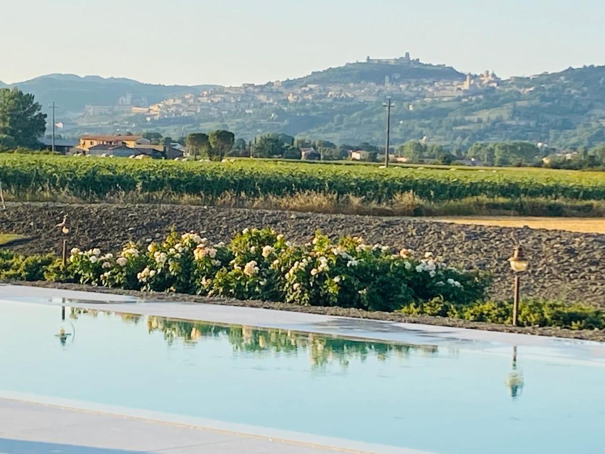 Alloggio per agriturismo Borgo Degli Angeli E